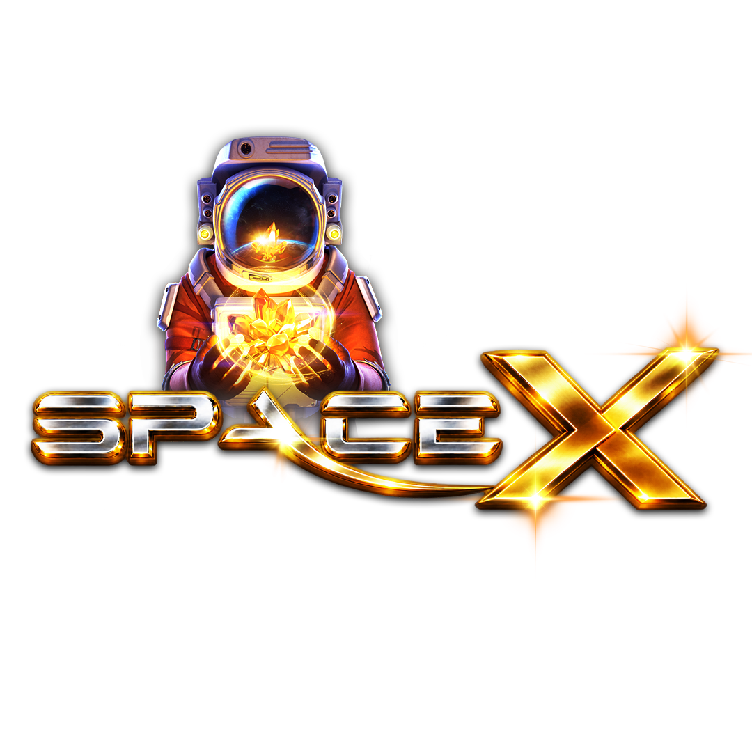 SpaceX Logo